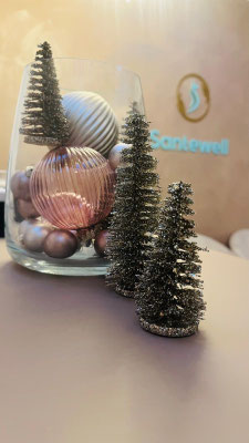 Weihnachten Angebote Santewell