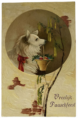 Easter card from Holland with a white Spitz holding a basket of eggs in his mouth