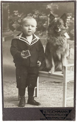 Ein kleiner Junge im Matrosenanzug nebst einem Wolfsspitz, der auf einem Stuhl sitzt. Fotoatelier Teichmann Bernau. Foto vor 1915 da im CdV-Format