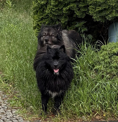 Bisschen nass geworden, der Willi