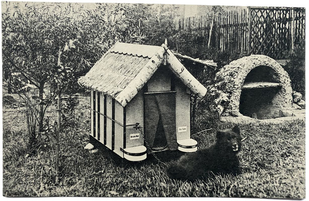 Black German Spitz in front of his doghouse