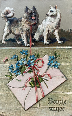Geburtstagskarte mit Wolfsspitz und weißem Großspitz im Prägedruck