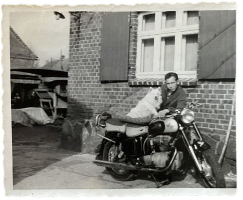 Der Spitz gehört auf den Bock: Spitz mit Herrchen auf dem Motorrad