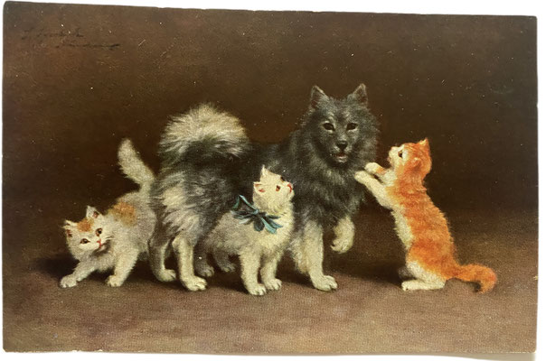 Postkarte mit einem Wolfsspitz und drei Kätzchen, T.S.N. Serie 671