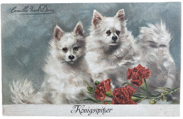 Die Spitze des Königs von Württemberg Wilhelm II. auf einer alten Postkarte - Königsspitzer
