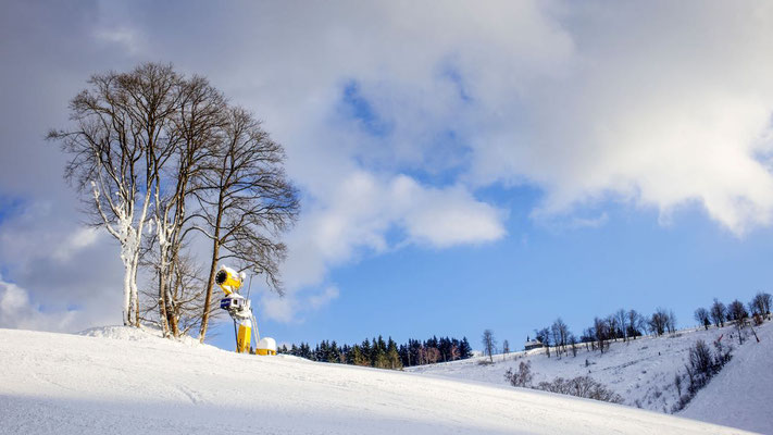 Winterlandschaft in Altastenberg