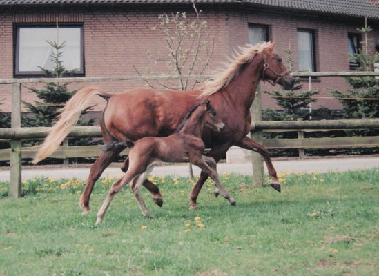 Faline & Grace