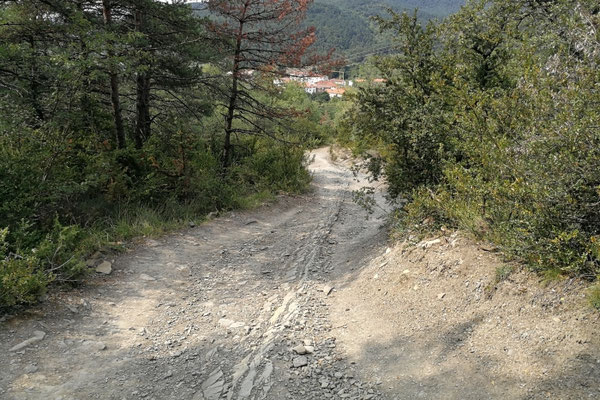 Abstieg nach Zubiri