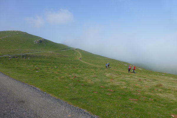 Auf dem Weg nach Roncesvalles über die Pyrenäen