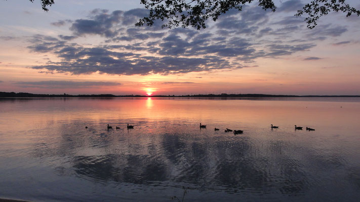© Naturcamping Zwei Seen am Plauer See/MV . https://www.zweiseen.de