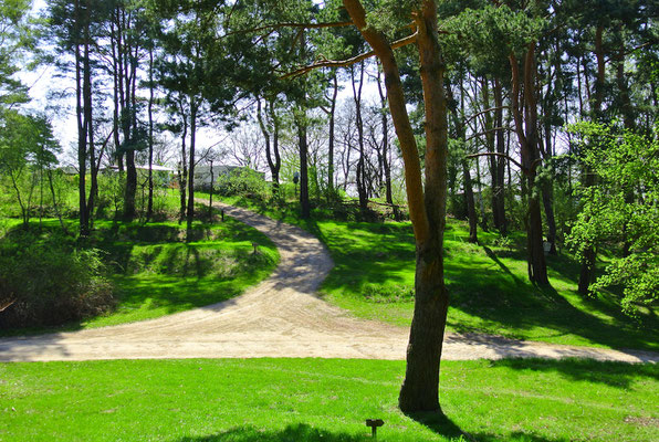Blick von Stellplatz 165 in den zum See hin absteigenden Terrassen auf die gegenüberliegenden Plätze 102-103 (links) und 83-86 (rechts)