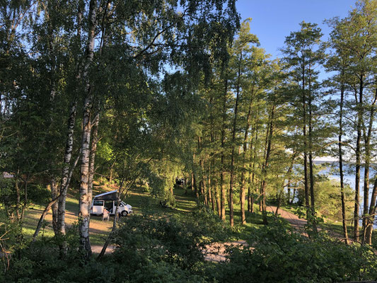 Plätze unter Bäumen am See