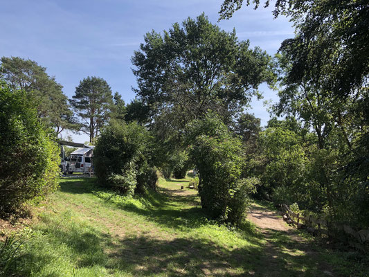  Doppelplatz 101 oben, Zeltplatz 100/98a/98 mittig, Zufahrt zur 99 unten © Naturcamping Zwei Seen am Plauer See/MV - www.zweiseen.de