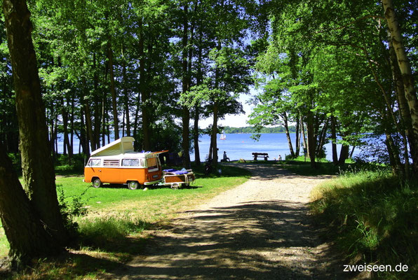 Blick auf die 70er-Plätze am See. Unser hügeliges Gelände steigt vom Mittelweg in Terrassen zum Seeufer ab und bietet viele individuell geschnittene Plätze © Naturcamping Zwei Seen am Plauer See/MV . https://www.zweiseen.de