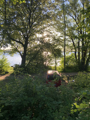 Seeplatz 1. Reihe klein - 121 © Naturcamping Zwei Seen am Plauer See/MV - www.zweiseen.de