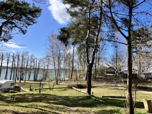 Im April: Unikat M-Platz 77 links, rechts Ufernah/Terrassen 78, 79 und Bus-Platz 80 © Naturcamping Zwei Seen am Plauer See/MV - www.zweiseen.de