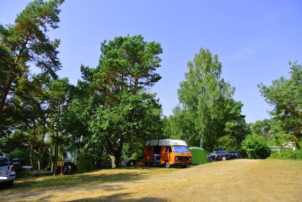 Blick von Platz 115 auf die drei Plätze 40-40a-39 auf einer Ebene mit Seeblick, eine Etage tiefer stehen die Schlaffässer © Naturcamping Zwei Seen am Plauer See/MV - www.zweiseen.de