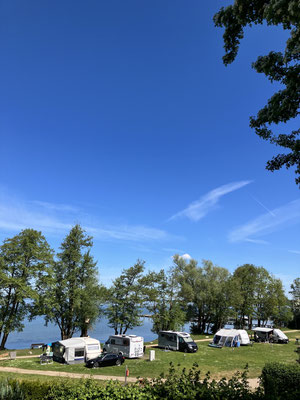 Seeplatz 1. Reihe 231-238) und 2. Reihe 224-230 © Naturcamping Zwei Seen am Plauer See/MV - www.zweiseen.de