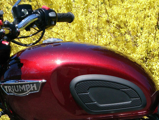 TRIUMPH Bonneville T120 (Foto: U.W.)