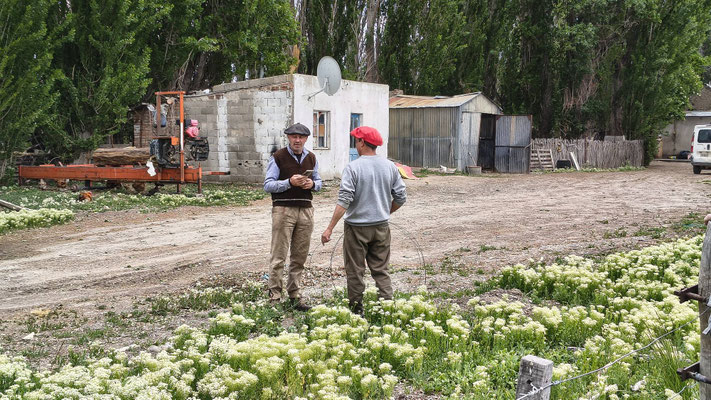 Gaucho im Gespräch mit dem Chef