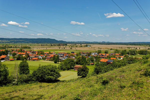 Kochelmoos