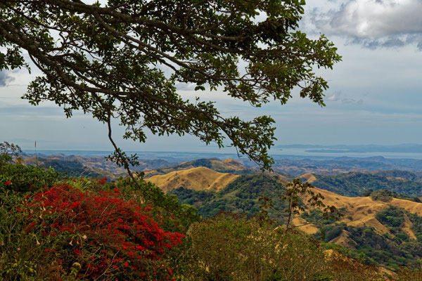 Landschaft südwestlich von Monteverde 