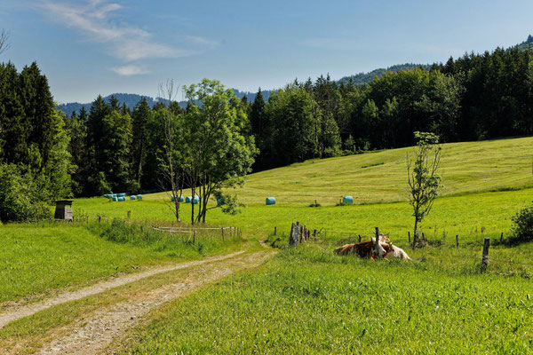 Start bei Benediktbeuern