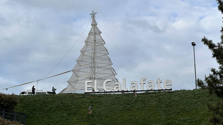 Der Ganzjahresweihnachtsbaum