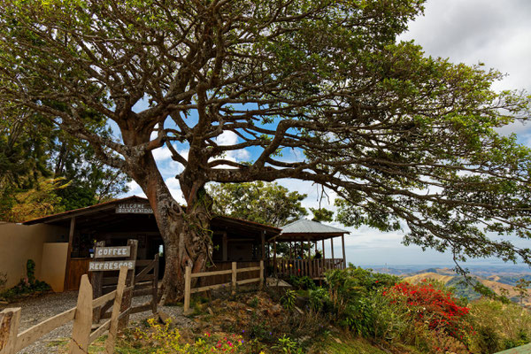 Landschaft südwestlich von Monteverde 