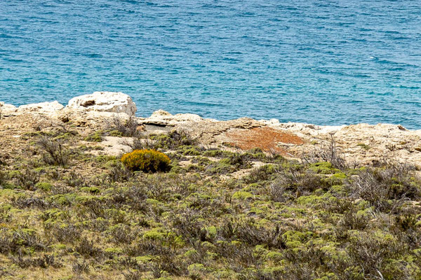 Suchbild mit meiner Kamera