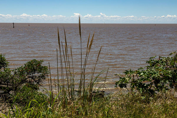 Blick auf den riesigen Rio de la Plata