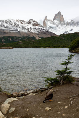 Laguna Capri