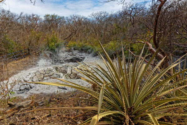  Rincón de la Vieja Geothermale Zone