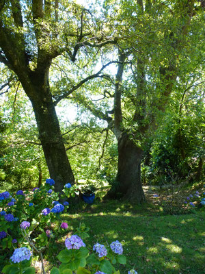 Maison d'hôtes avec jardin