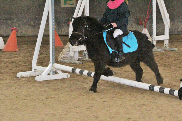 Janvier 2017, 4 ans. 1er EquiFun