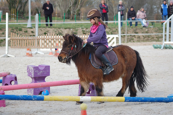 Valmy De Liberty - Domaine Equestre Du Theil