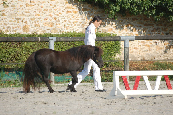 aout 2015, 2ans . Concours Les Bréviaires