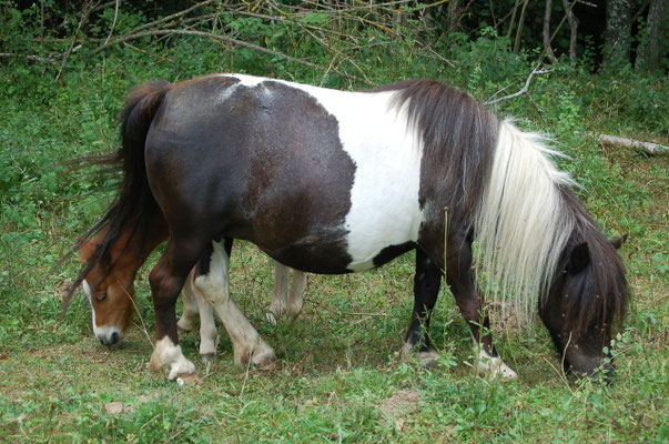 Indiana Du Sanon, sa maman