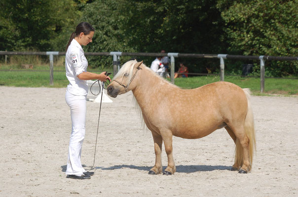 aout 2015, concours Les Bréviaires