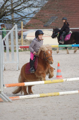 Verity De Liberty - Domaine Equestre Du Theil