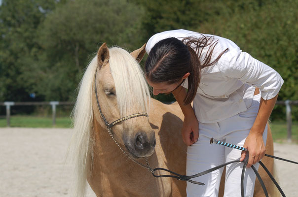 aout 2015, concours Les Bréviaires