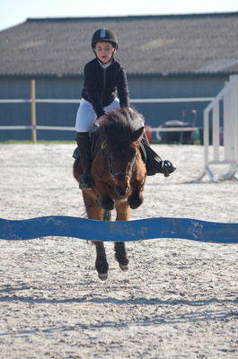 V'La Tipa De Bruère - Domaine Equestre Du Theil