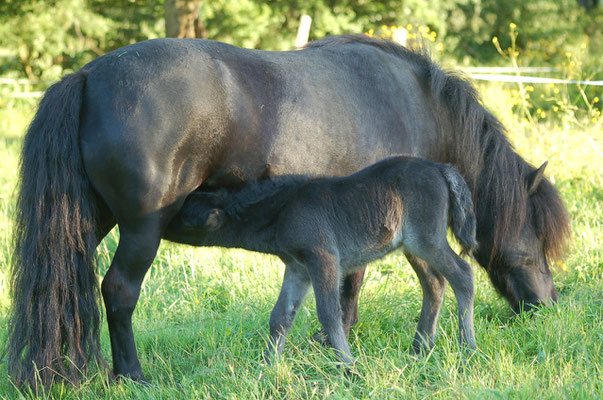 Daphne et sa maman, 1 jour