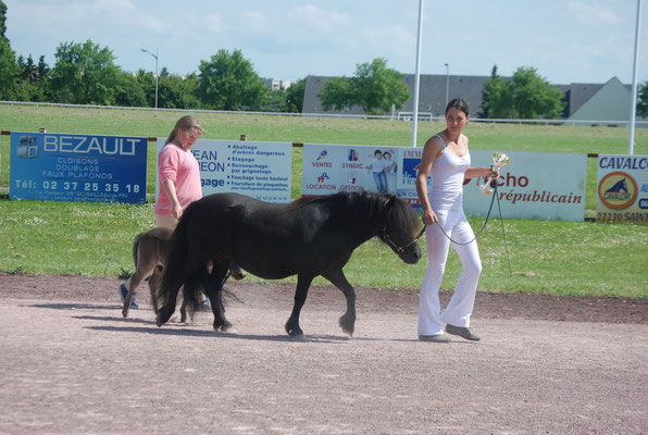 Concours de Chartres, 8 juin 2014