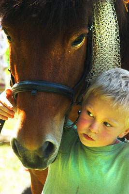 achtsame Kommunikation zwischen Pferd und Mensch