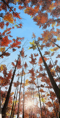 40 x 80cm  80 Euro