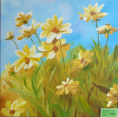 50 x 50cm  100 Euro