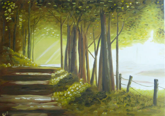 70 x 50cm  100 Euro