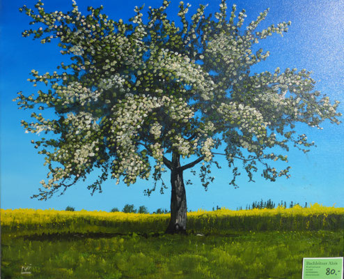 50 x 40cm  80 Euro