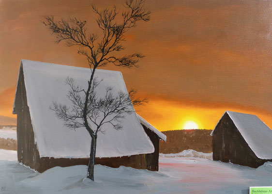 70 x 50cm  150 Euro